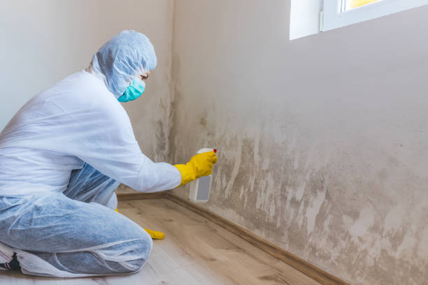 Mold Remediation specialist working in Halethorpe
